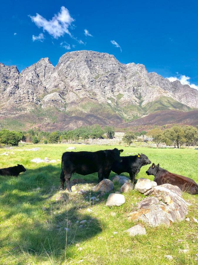 Гостевой дом The Barn In Franschoek Франсхук Экстерьер фото